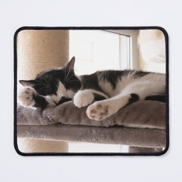 Item preview, Sleeping Tuxedo Cat at Mon Ami designed and sold by BadWolfStudios.