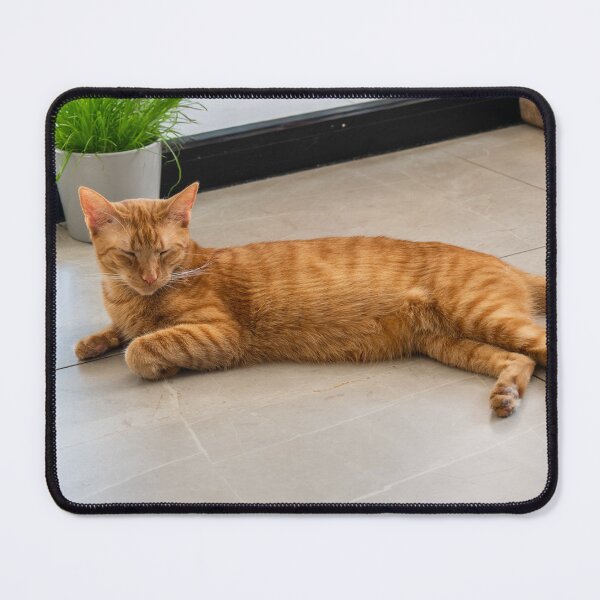 Item preview, Ginger Cat of Mon Ami designed and sold by BadWolfStudios.
