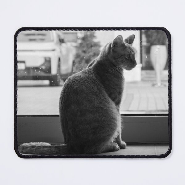 Item preview, Window Watcher at Mon Ami designed and sold by BadWolfStudios.