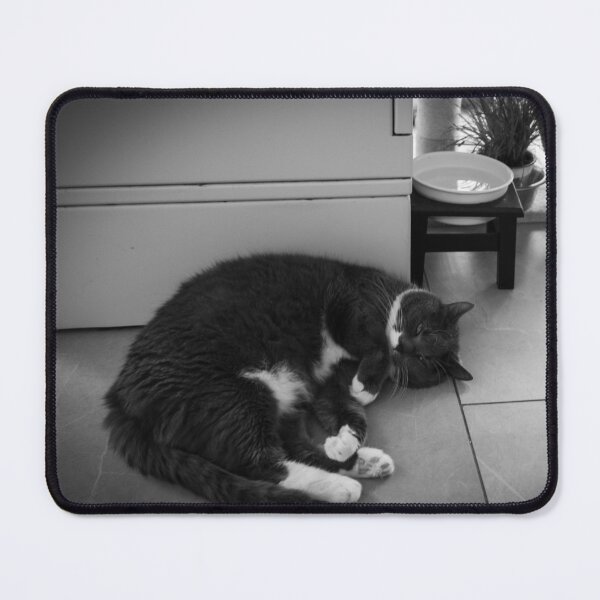 Item preview, Curled Up at Mon Ami Cat Café designed and sold by BadWolfStudios.