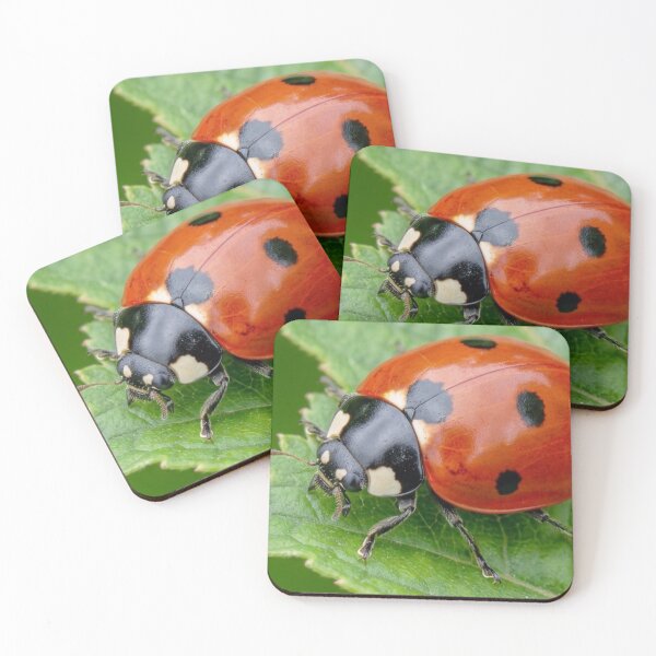 Item preview, Ladybug on Green Leaf Nature Macro Photography  designed and sold by S.K.Singh.