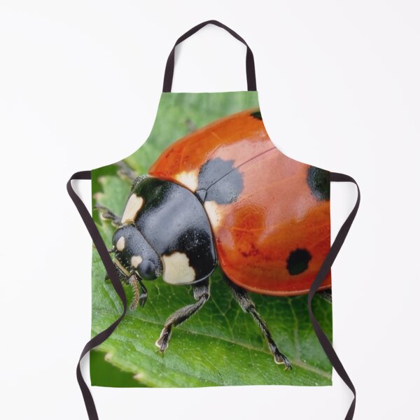 Item preview, Ladybug on Green Leaf Nature Macro Photography designed and sold by S.K.Singh.