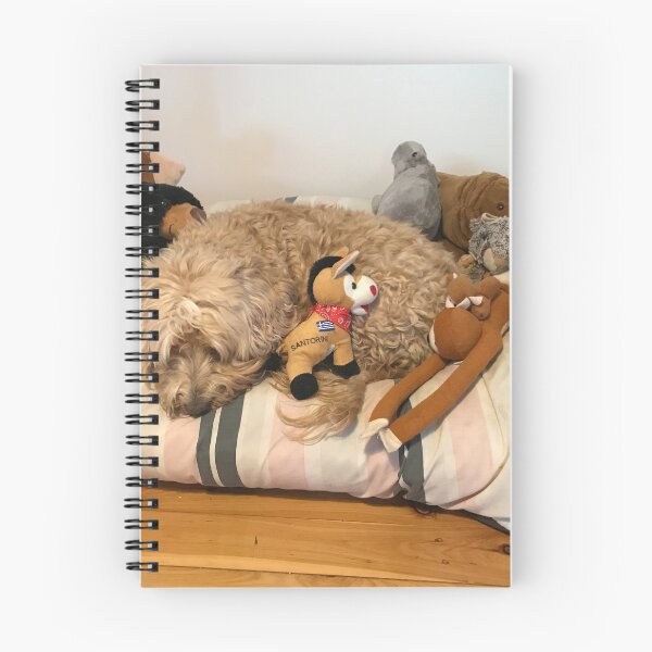 Artikelvorschau, Mein Bett ... MEINE Spielzeuge! entworfen und verkauft von Marylou Badeaux.