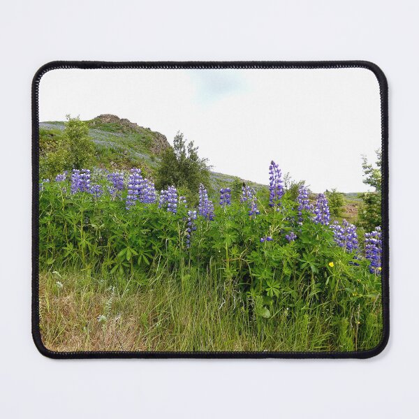 Item preview, Iceland mountain side of blooming purple lupine flowers. designed and sold by shorethings.