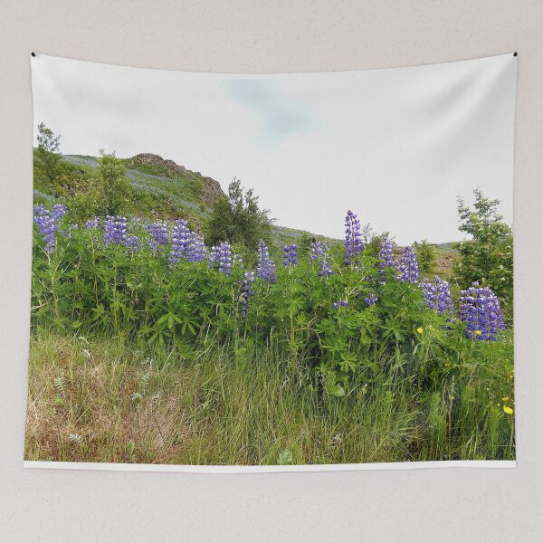 Item preview, Iceland mountain side of blooming purple lupine flowers. designed and sold by shorethings.