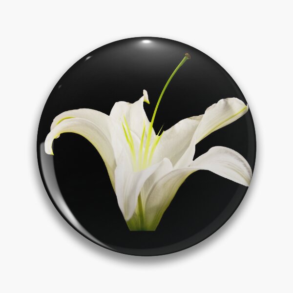 Item preview, Elegant White Easter Lily (Lilium longiflorum) designed and sold by daphsam.