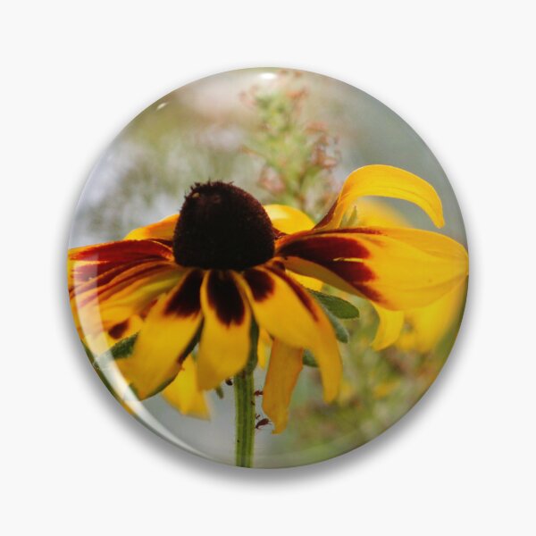 Item preview, Denver Daisy Coneflower designed and sold by Cynthia48.