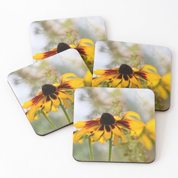 Item preview, Denver Daisy Coneflower designed and sold by Cynthia48.