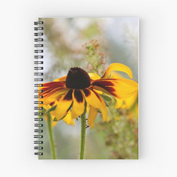 Item preview, Denver Daisy Coneflower designed and sold by Cynthia48.