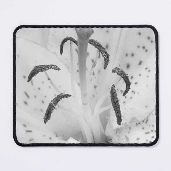 Item preview, Elegant White Lily Macro designed and sold by daphsam.