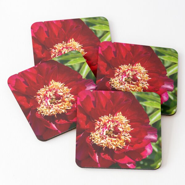 Item preview, Deep Red Japanese Peony designed and sold by daphsam.