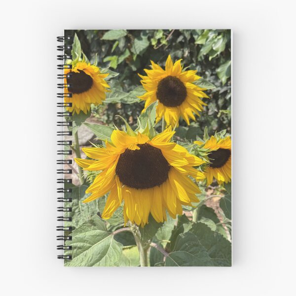 Item preview, Sunflowers designed and sold by EllyB1.