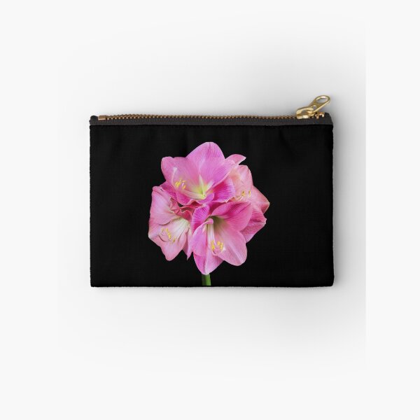 Item preview, Graceful Pink Amaryllis (Hippeastrum) designed and sold by daphsam.