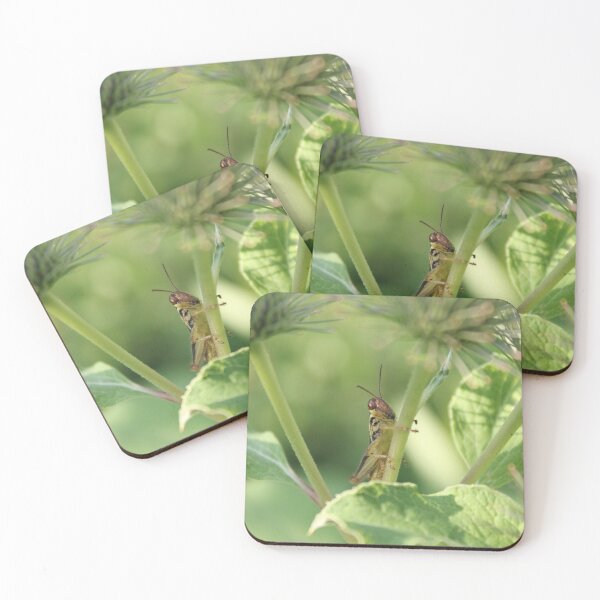 Item preview, Grasshopper clinging to a stem designed and sold by Edward G's Photographies.