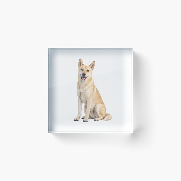Item preview, Canaan Dog designed and sold by BackgroundND.