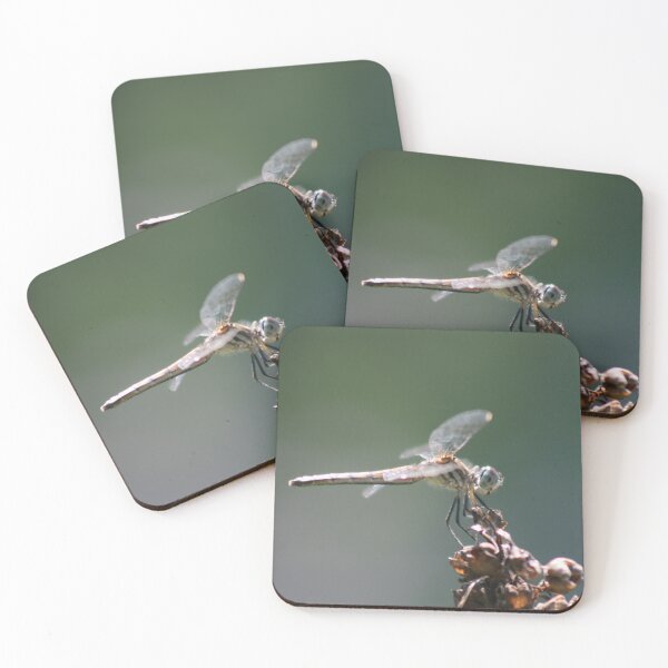 Item preview, A Dragonfly Resting  designed and sold by Eddie G's Photographies.