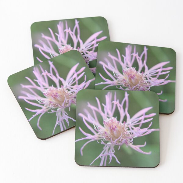 Item preview, A Vibrant Purple Flower designed and sold by Edward G's Photographies.