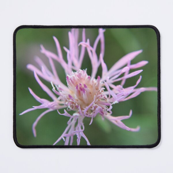 Item preview, A Vibrant Purple Flower designed and sold by Edward G's Photographies.
