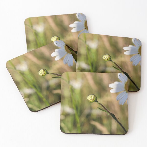 Item preview, Wildflower petals designed and sold by Martin Fenton.