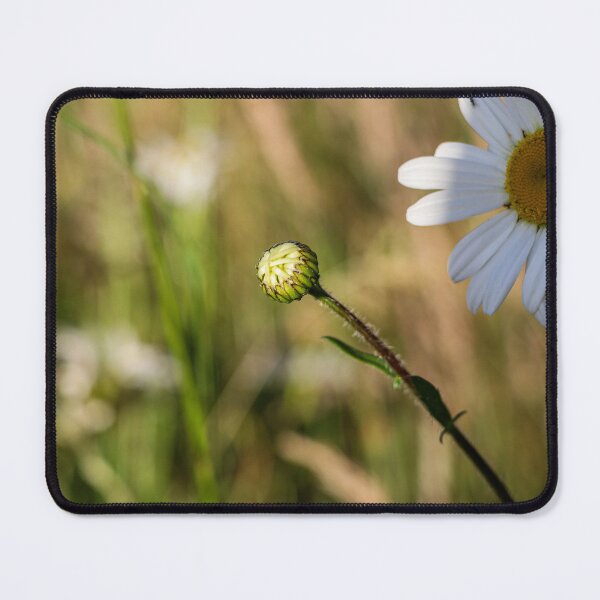 Item preview, Wildflower petals designed and sold by Martin Fenton.
