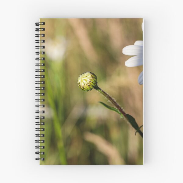 Item preview, Wildflower petals designed and sold by Martin Fenton.