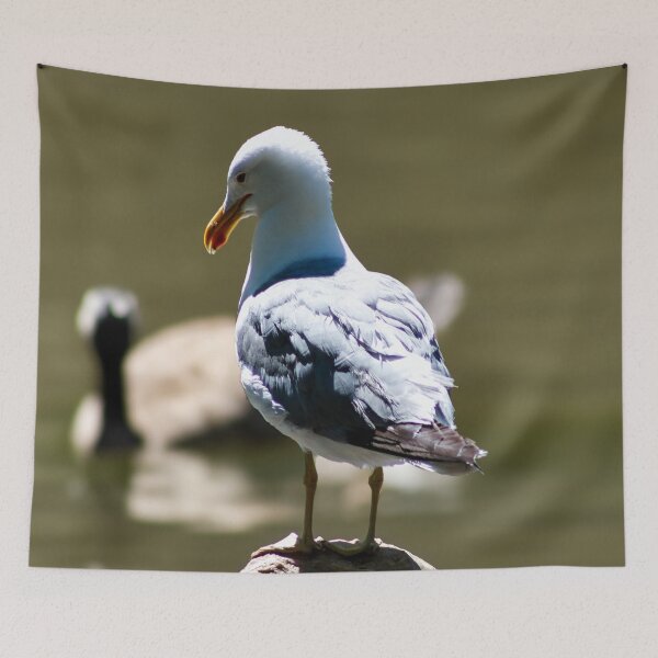 Item preview, Seagull Standing on a Rock designed and sold by WilesNailsPower.