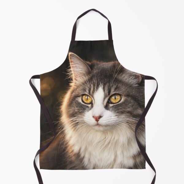 Item preview, Golden Gaze – Fluffy Cat Portrait in Soft Evening Light designed and sold by Kimberly Palmer.