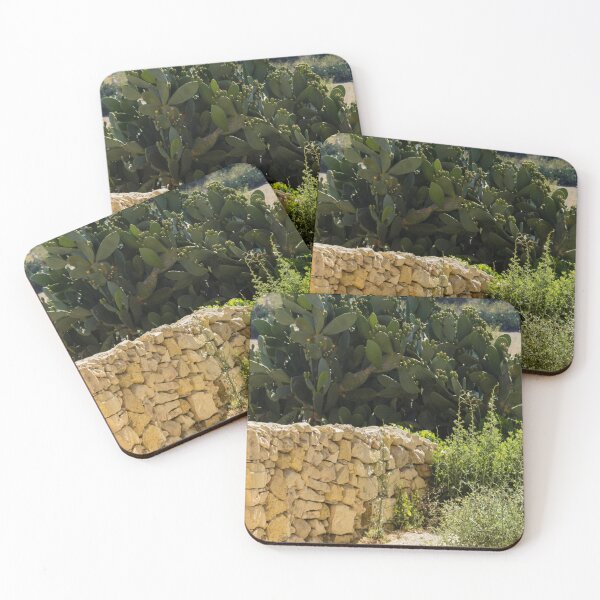 Item preview, Sunlit Prickly Pear Cactus Behind A Dry Stone Wall In A Mediterranean Rural Landscape designed and sold by Nmallia.