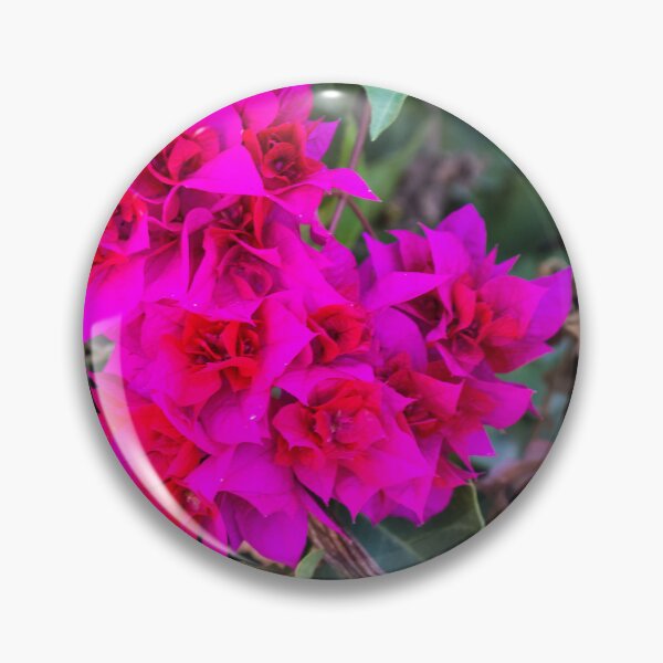 Item preview, Vibrant Pink Bougainvillea Flowers Among Green Leaves On A Tropical Garden Vine designed and sold by Nmallia.