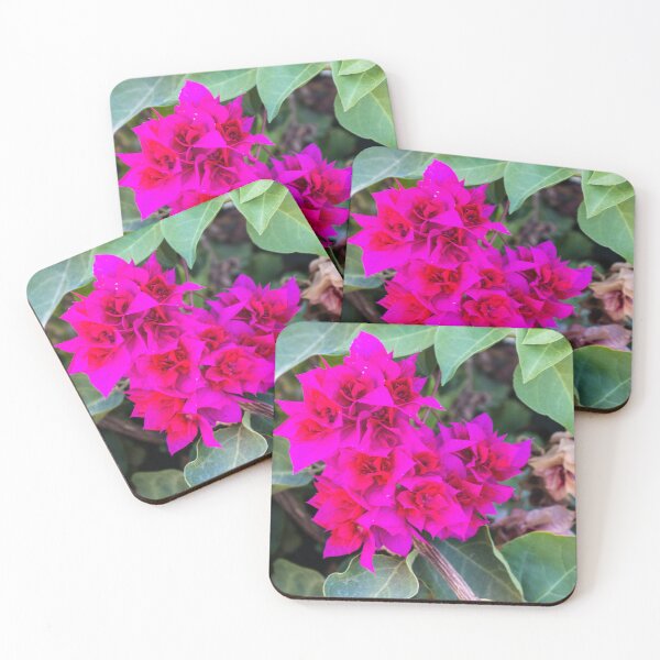Item preview, Vibrant Pink Bougainvillea Flowers Among Green Leaves On A Tropical Garden Vine designed and sold by Nmallia.