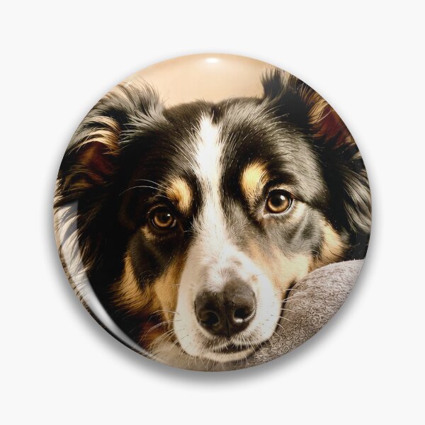 Item preview, Dog with cuddly toy designed and sold by Steffani Lehmann.