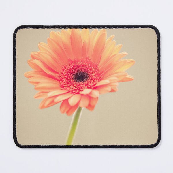 Item preview, Balancing Act designed and sold by Debra Cox.