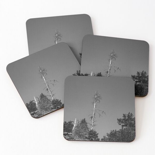 Item preview, The Sentinel, Rocky Mountain National Park, Colorado designed and sold by Douglas E. Welch Design and Photography.