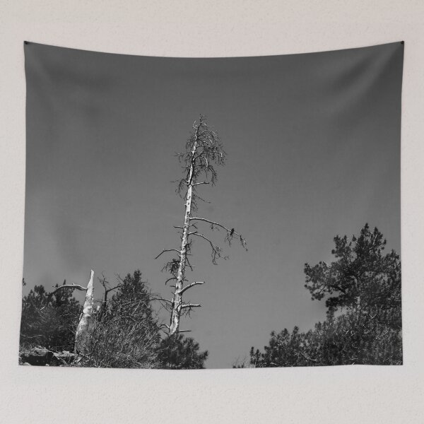 Item preview, The Sentinel, Rocky Mountain National Park, Colorado designed and sold by Douglas E. Welch Design and Photography.