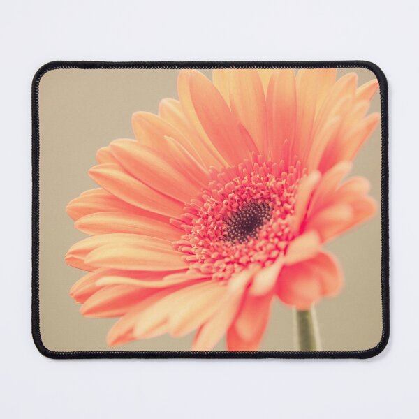 Item preview, I am Orange designed and sold by Debra Cox.