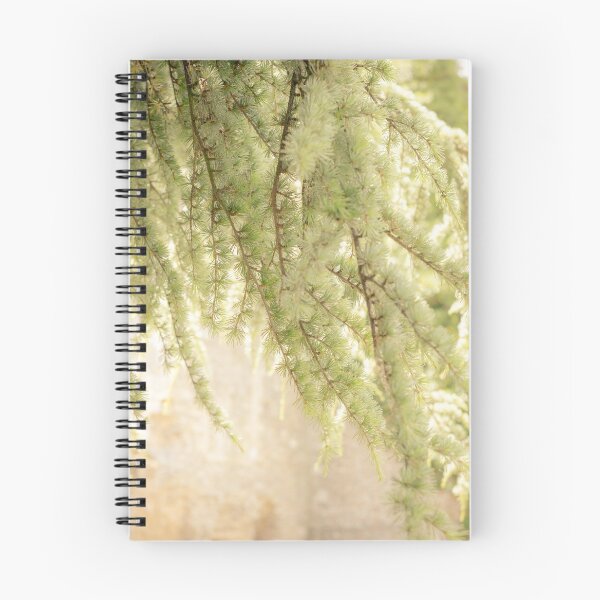 Item preview, Beautiful Light designed and sold by Debra Cox.