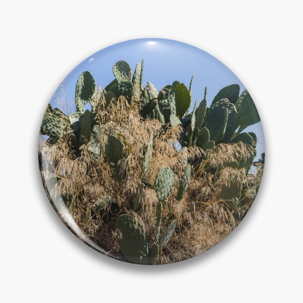 Item preview, Prickly Pear Cactus Cluster On Stone Wall At Golden Sunset Over Rural Mediterranean Hills designed and sold by Nmallia.
