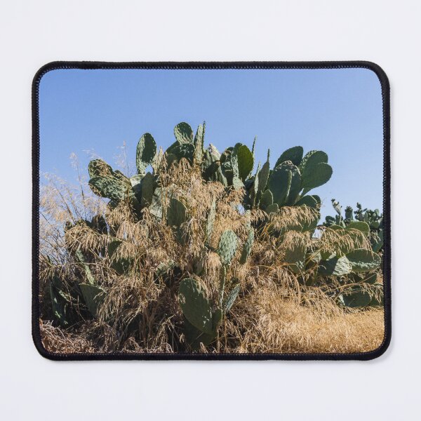 Item preview, Prickly Pear Cactus Cluster On Stone Wall At Golden Sunset Over Rural Mediterranean Hills designed and sold by Nmallia.