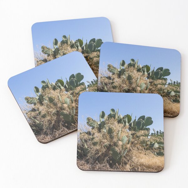 Item preview, Prickly Pear Cactus Cluster On Stone Wall At Golden Sunset Over Rural Mediterranean Hills designed and sold by Nmallia.