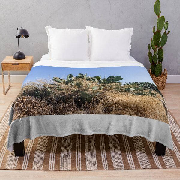 Item preview, Prickly Pear Cactus Cluster On Stone Wall At Golden Sunset Over Rural Mediterranean Hills designed and sold by Nmallia.