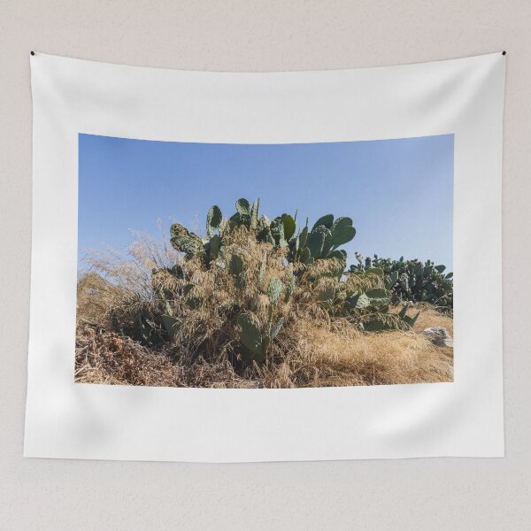 Item preview, Prickly Pear Cactus Cluster On Stone Wall At Golden Sunset Over Rural Mediterranean Hills designed and sold by Nmallia.