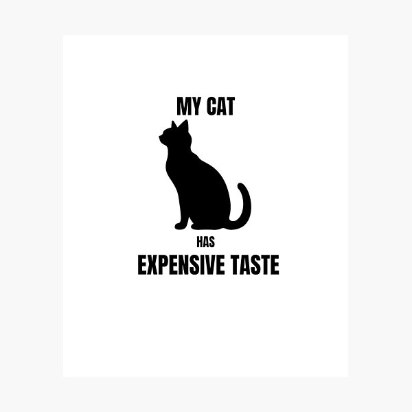 Item preview, My Cat Has Expensive Taste Funny Cat Sticker | Minimalist Cat Lover Design designed and sold by Savage Cat Quotes.