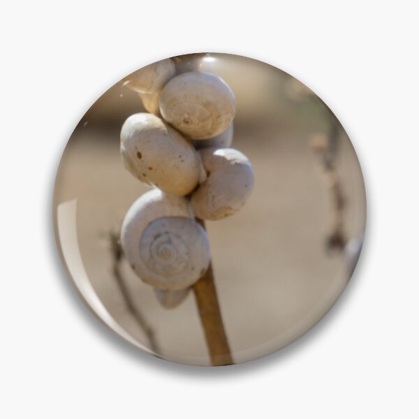 Item preview, Cluster Of White Snail Shells On A Dry Plant Stem In Desert Macro Nature Close-Up designed and sold by Nmallia.
