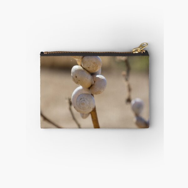 Item preview, Cluster Of White Snail Shells On A Dry Plant Stem In Desert Macro Nature Close-Up designed and sold by Nmallia.