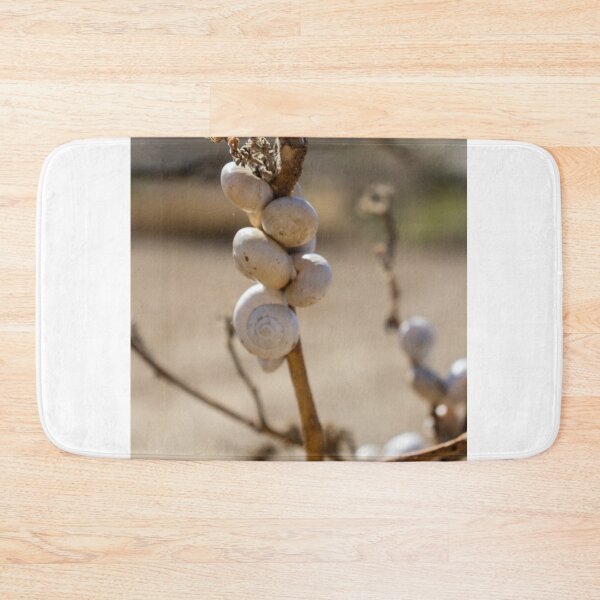 Item preview, Cluster Of White Snail Shells On A Dry Plant Stem In Desert Macro Nature Close-Up designed and sold by Nmallia.