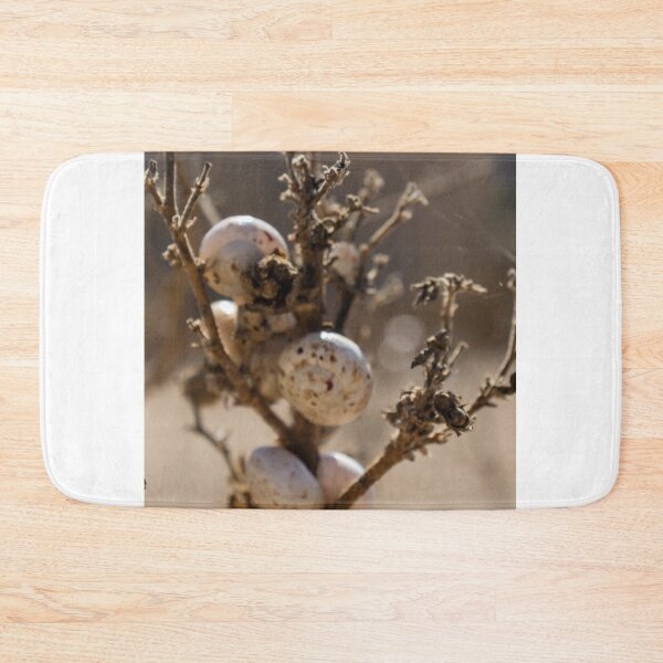 Item preview, Cluster Of White Snail Shells On A Dry Plant Stem In Desert Macro Nature Close-Up designed and sold by Nmallia.