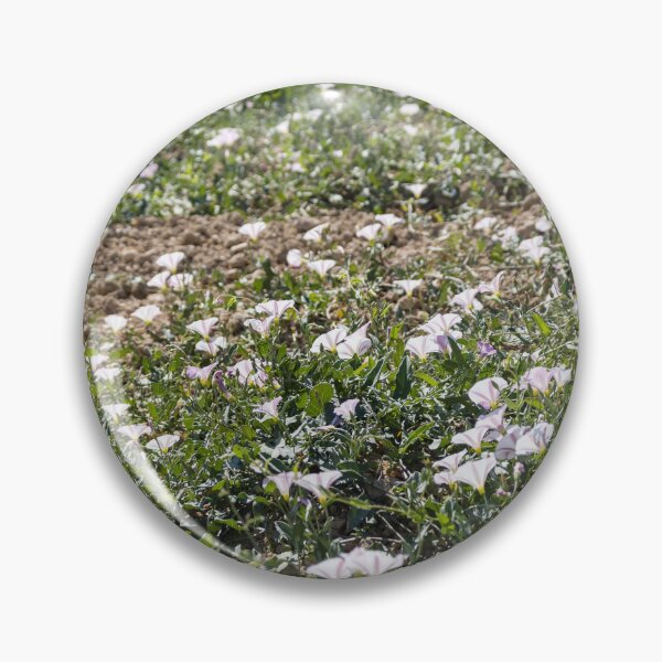 Item preview, Field Of Pale Pink Wildflowers Blanketing A Sunny Spring Meadow With Green Ground cover designed and sold by Nmallia.