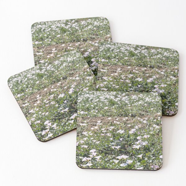 Item preview, Field Of Pale Pink Wildflowers Blanketing A Sunny Spring Meadow With Green Ground cover designed and sold by Nmallia.