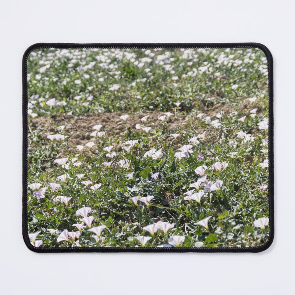 Item preview, Field Of Pale Pink Wildflowers Blanketing A Sunny Spring Meadow With Green Ground cover designed and sold by Nmallia.