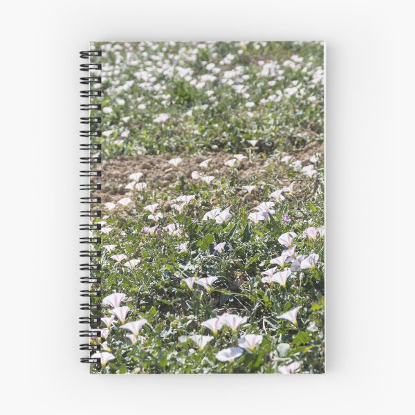 Item preview, Field Of Pale Pink Wildflowers Blanketing A Sunny Spring Meadow With Green Ground cover designed and sold by Nmallia.